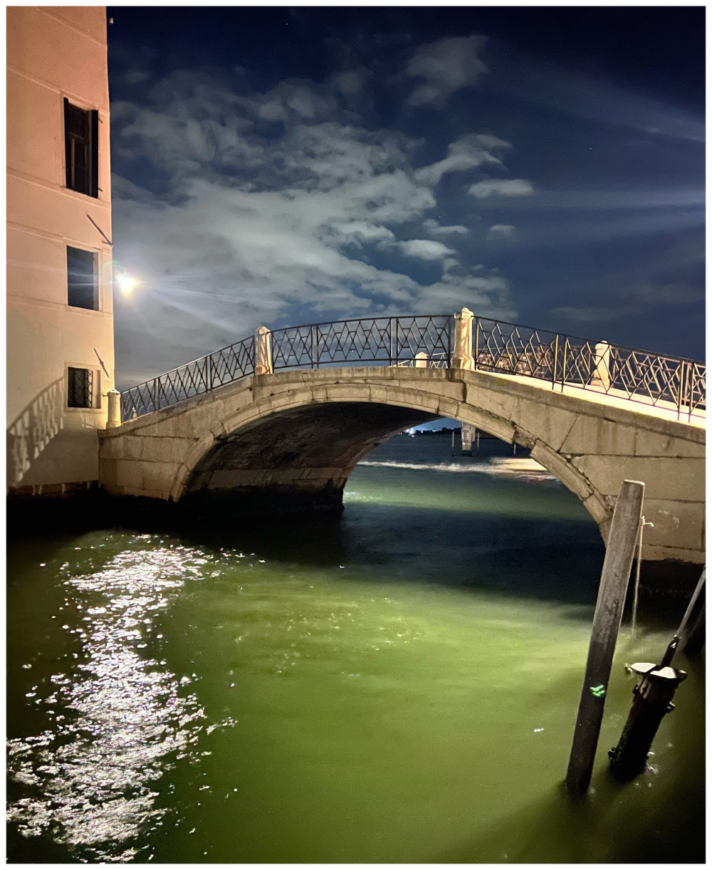 Midnight in Venice